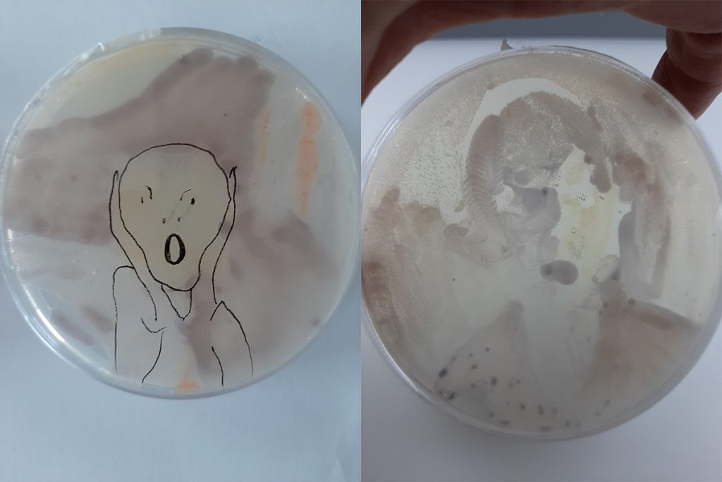 Hankkeen aikana tehtyä bakteeritaidetta.