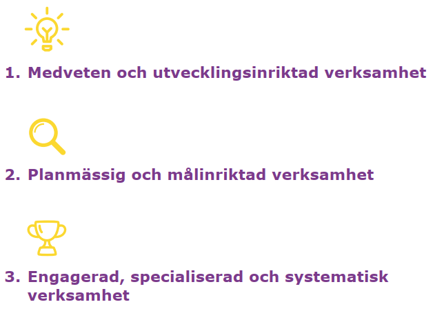 Certifikatet har tre nivåer: 1. Medveten och utvecklingsinriktad verksamhet, 2. Planmässig och målinriktad verksamhet och högsta nivå 3. Engagerad, specialiserad och systematisk verksamhet.